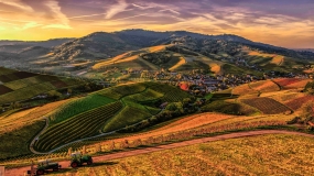 [Nov 2024] Newsletter Tax & Legal Update